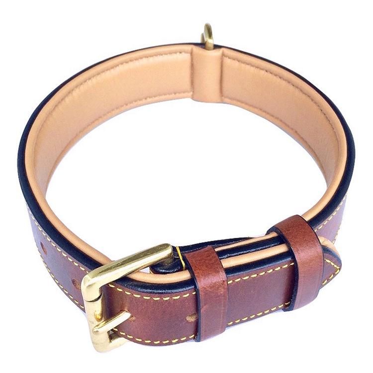 Golden Buckle Padded Genuine Real Leather Dog Collar