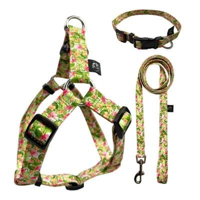 No Pull Reflective Pet Dog Harness Adjustable Dog Outside Walking Slip Lead Harness and Leash Set