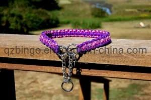 Bingo Paracord Adjustable Dog Collar