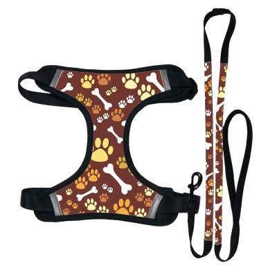 How Is a Back Clip Sassy Dog Harness Correctly Fitted