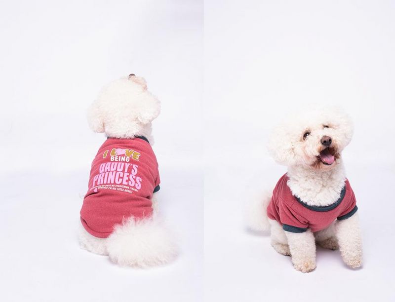 2022 Spring New Pet Clothes Big Dog Spring Clothes Wholesale Dog Clothes