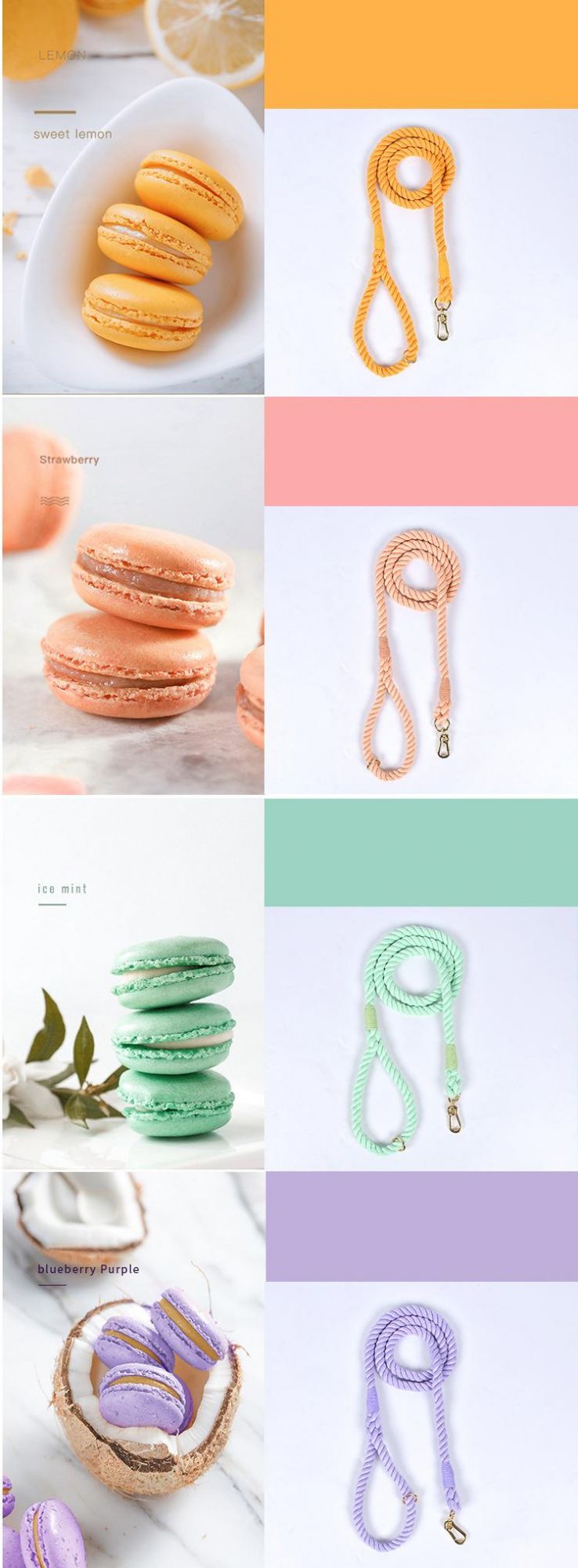 New Arrival Personality Design Leash Matched Chain Design Collar Dog Lead