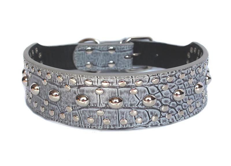 Large Pet Collar with Twinkling Rivet Studded