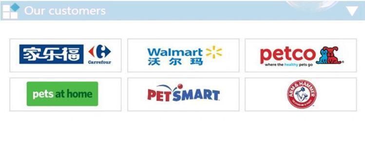 Wholesale Colorful 1.0cm 1.5cm 2.0cm Custom Reflective Light Reflecting Glistening Shiny Pet Dog Collar Pet Leash Harness Cat Collar