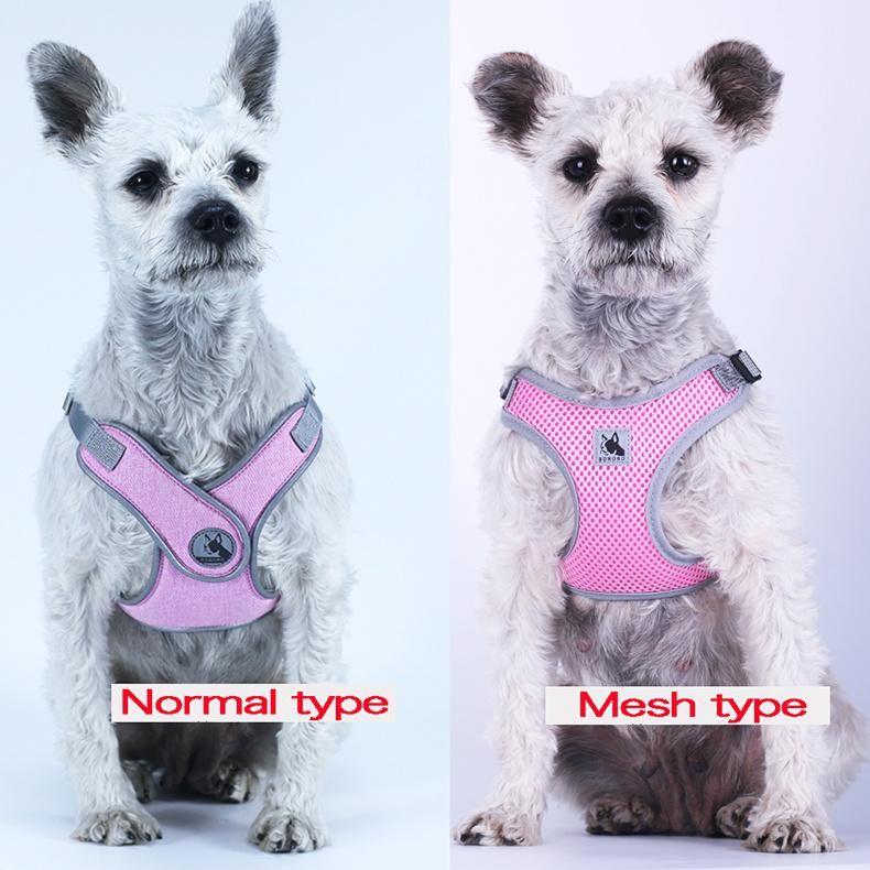 Colourful Supply Easy Operation Leash Attachment Point Dog Leash
