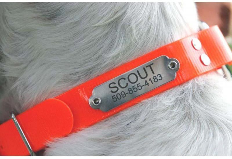 Waterproof Orange Hunting Dog Collar Resistant to Dirt