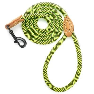 Rope with Leather Connection Dog Leash