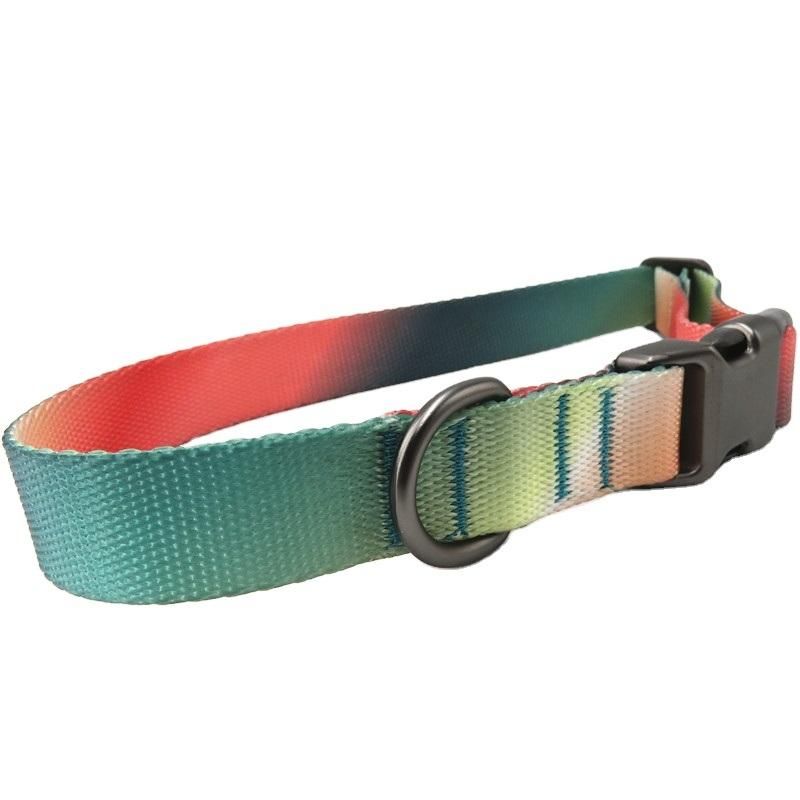 Custom Size Eco-Friendly Fashion Nylon Material Dog Collars
