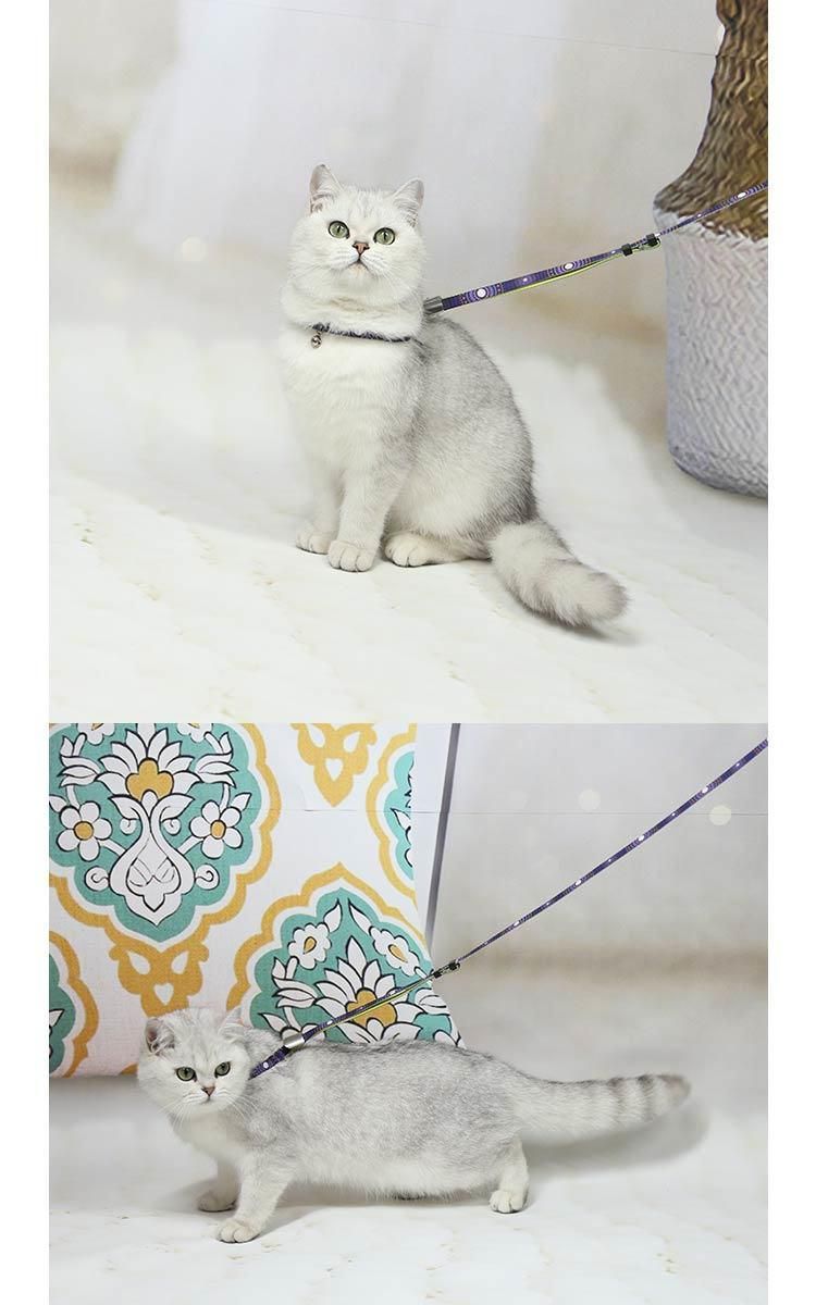 Cozy Adjustable Customized Nylon for Cats Rabbit Kitten Kedi Harness Leash Set
