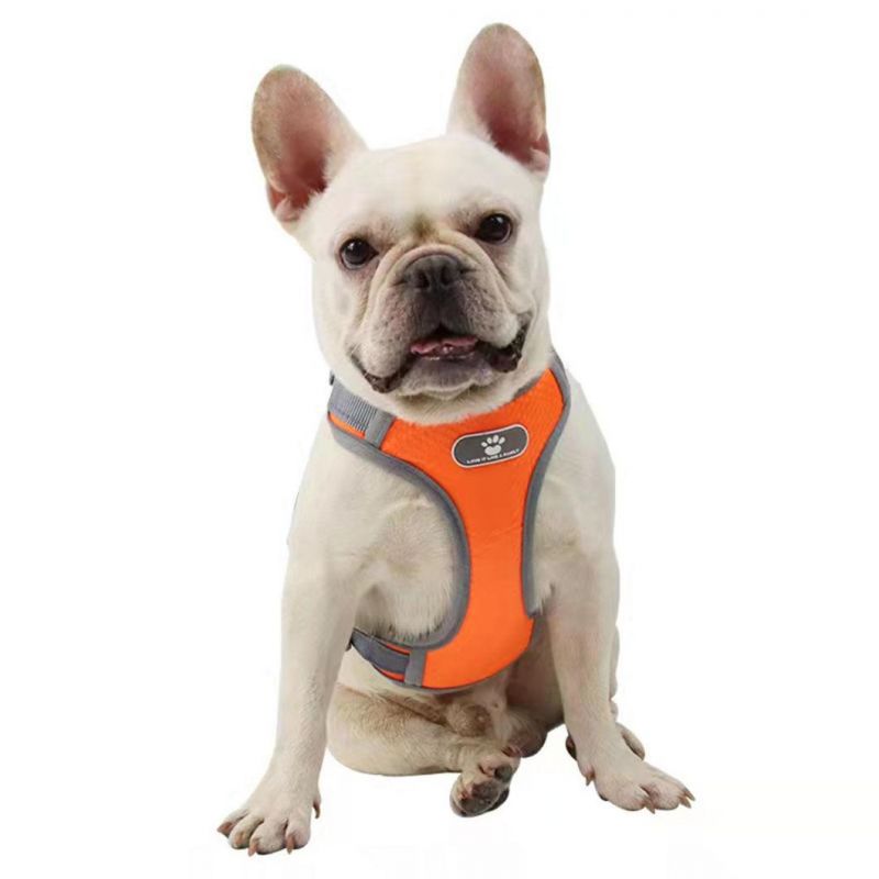 Dog Harness No Pull Walking Pet Harness