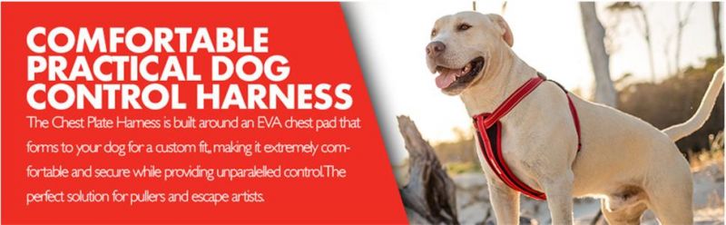 Premium Reflective No-Pull Padded Comfort Harness, Best Dog Product