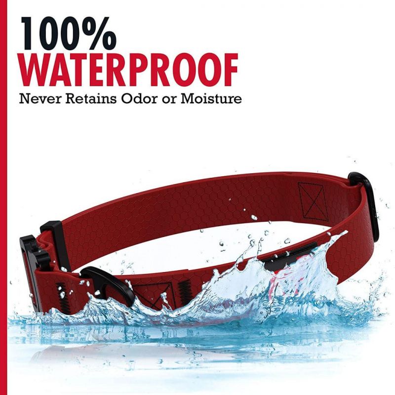 Tear Proof & Odor Free Rust-Proof Quick Release Buckle Dog Collar