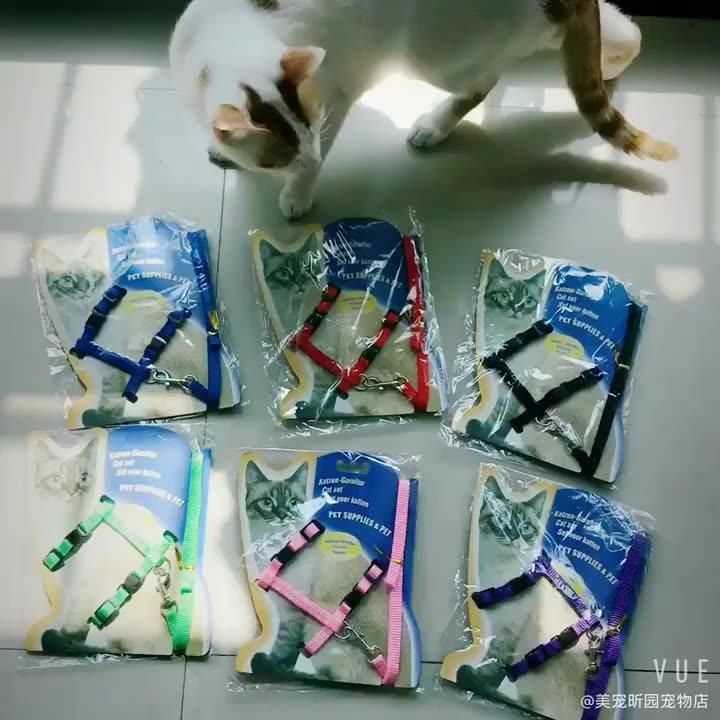 Hot Sale Rope Leash Cat Harnesses LED Cat Leash Surf Leash