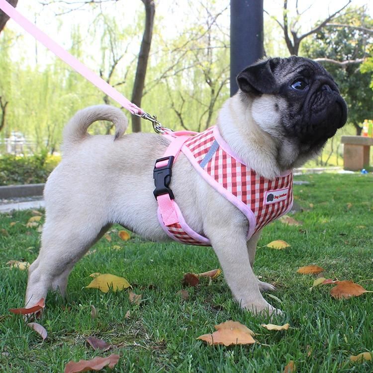 Vest-Style Dog Chest Strap Summer Breathable Lattice Pet Chest Strap Dog Rope Pet Harness