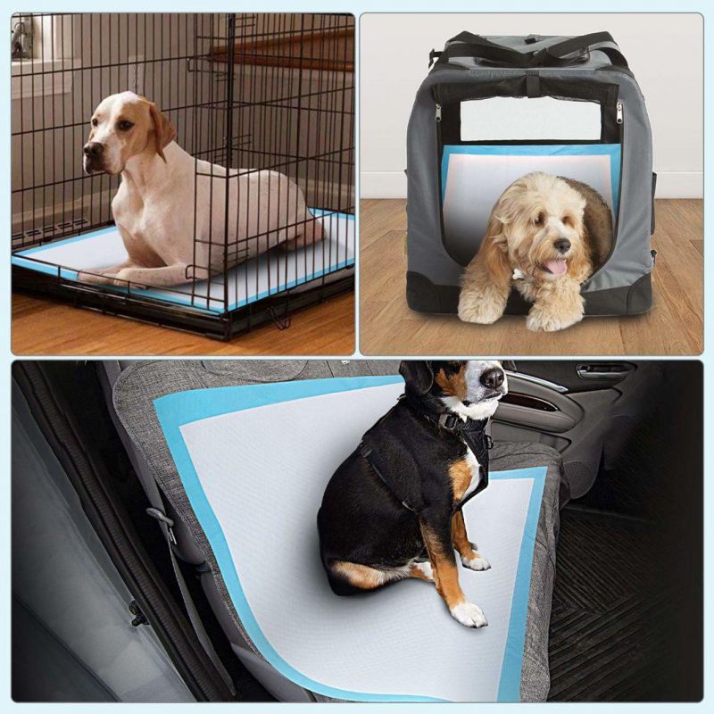 Supplier Hot Sale Disposable Pet Training Pet Bed Absorbency Underpad for Pet Dog