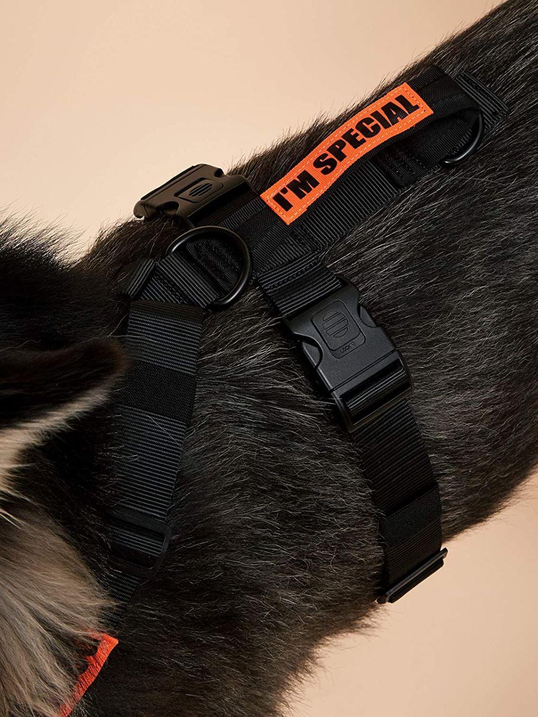 Comfort Step in Dog Harness Easy to Put on for Small/Medium/Large Dog