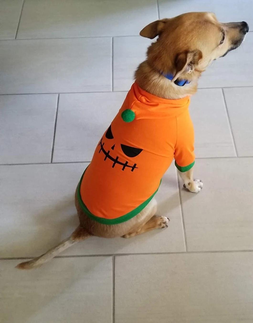 Pet Dog Cat Halloween Pumpkin Hoodies Funny Puppy Kitten Costume