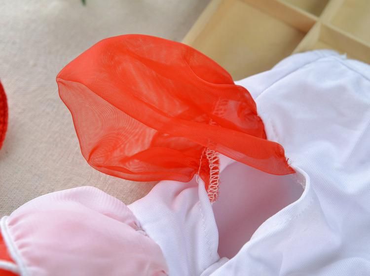 Wholesale ODM Housemaid Cosplay Dog Summer Bubble Skirt Dog Pincess Dress