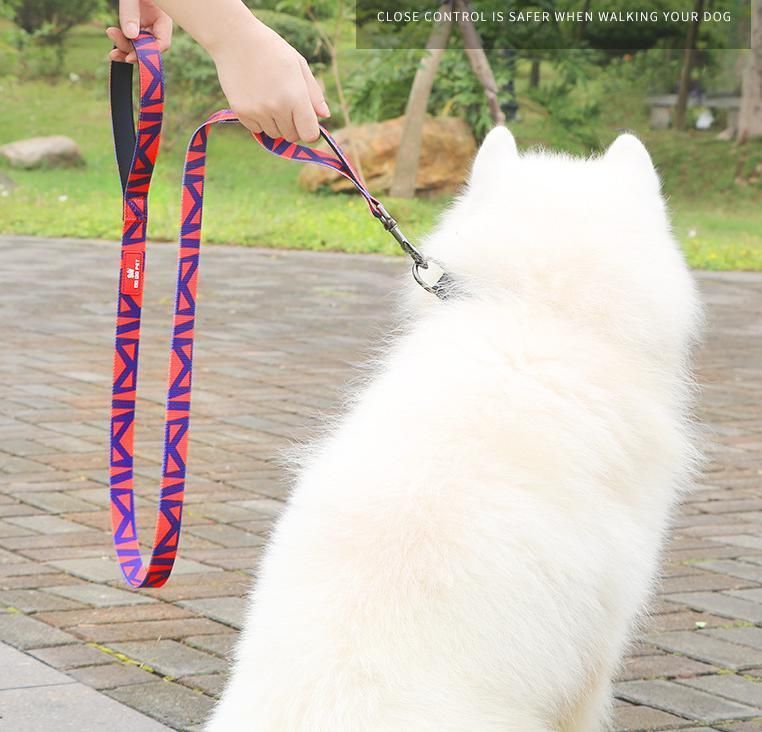 Rainbow Jacquard Weave Pet Accessories Dog Leash Dog Product