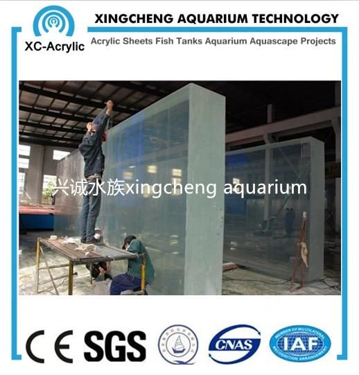Customized Transparent Acrylic Glass Sheet Aquarium Project