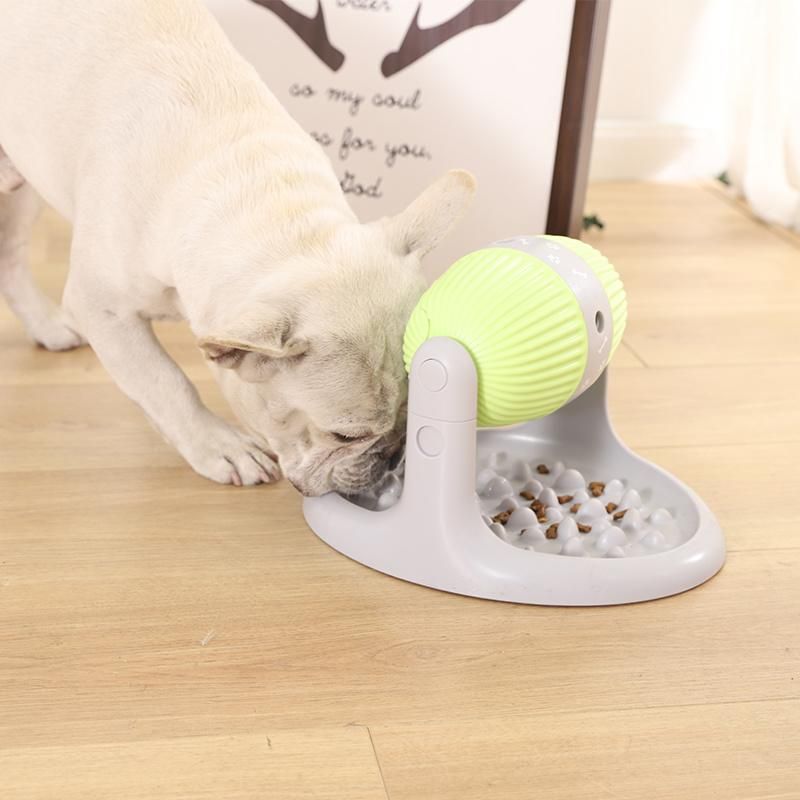 Intertive Height Adjustment Iq Training Pet Feeder for Dogs Cats