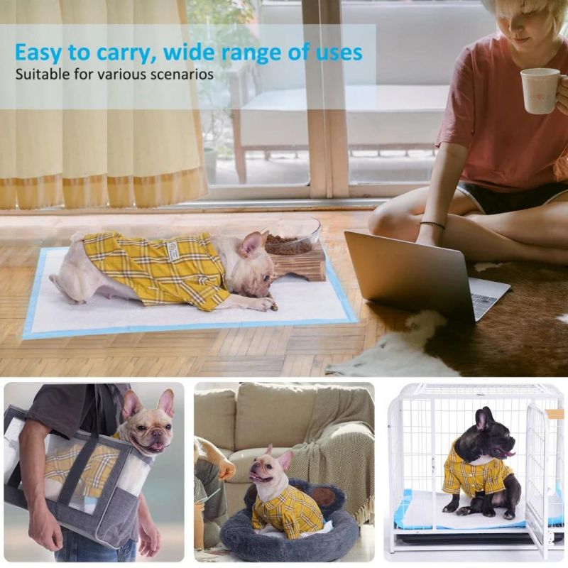 High Quality Supplier Hot Sale Disposable Pet Training Underpad for Dogs