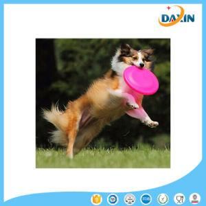 Good Quality FDA Grade Silicone Frisbee/Frisbee for Dog