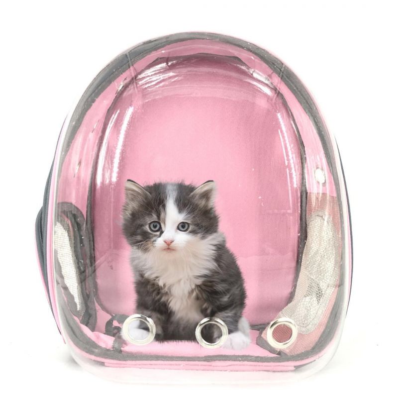 Pet Carrier Bag Backpack Toy Space Capsule Pet Products with Different Colors