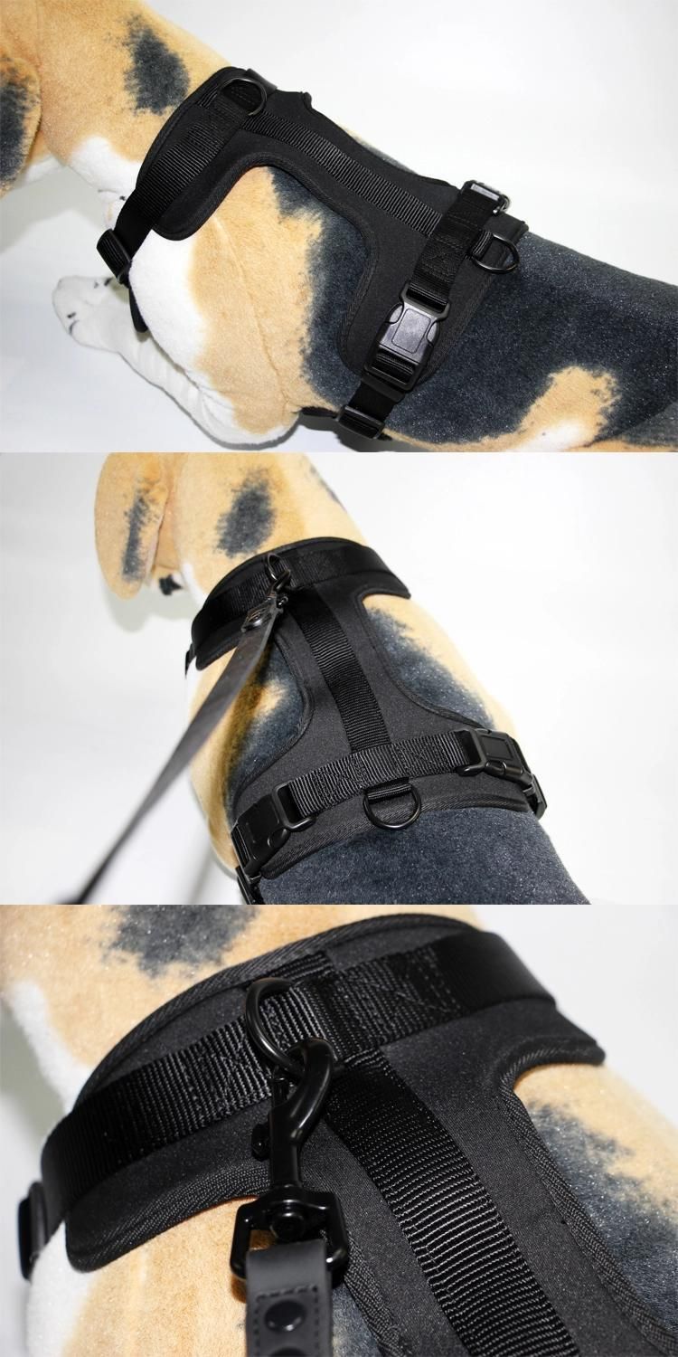 Custom Logo Soft PVC Dog Collar and Leash Harness Set