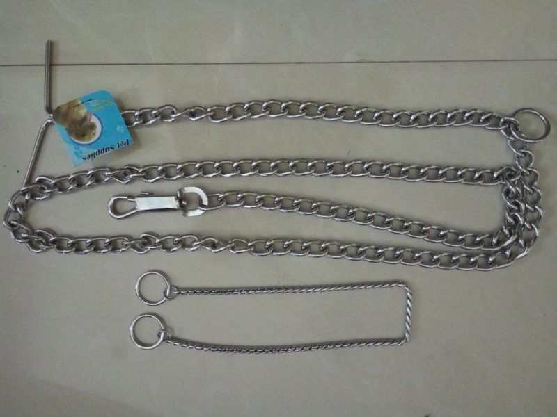 Pets Chock Chain with Brand for Dog