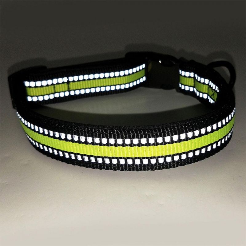 Two High Reflective Stripe Webbing Dog Collar