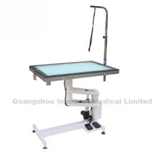 Professional Pet Grooming Table Electric LED Light Dog Grooming Table