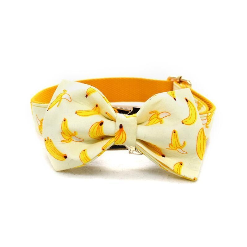 Strong Poly Cotton Fabric Unique Patterns Floral Dog Collars