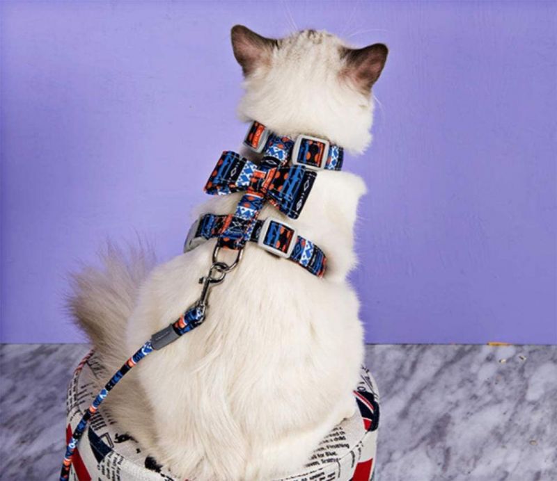 Cute and Beautiful Walking Cat Harness Pet Harness