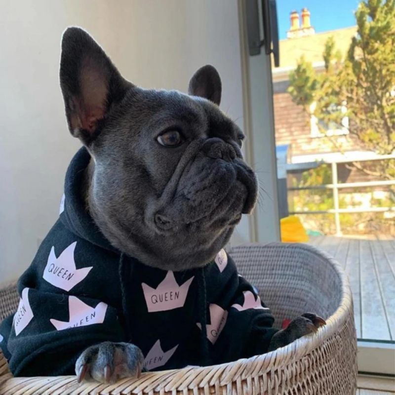 Most Popular Wholesale High Quality Pet Hoody Dog Clothes