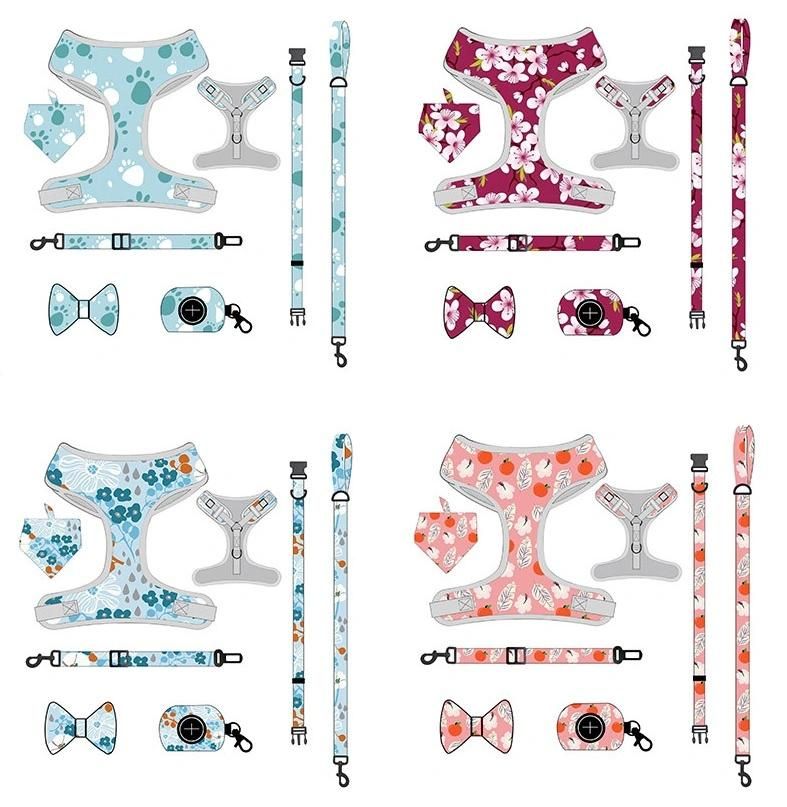 Customized All Kinds of Harness Design Pattern Dog Harness