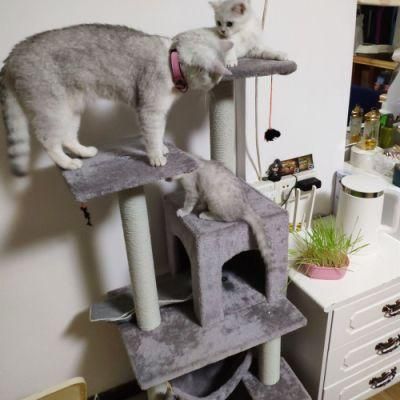 Kitten Cat Playing Activity Pet House Play Toy Scratch Post Cat Tree Tower Condo