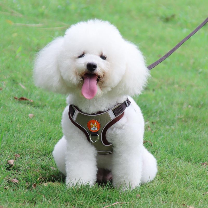 Dog Products, Dog Harness, No-Pull Pet Harness with 2 Leash Clips, Adjustable Soft Padded Dog Vest, Reflective No-Choke with Easy Control Handle for Dog