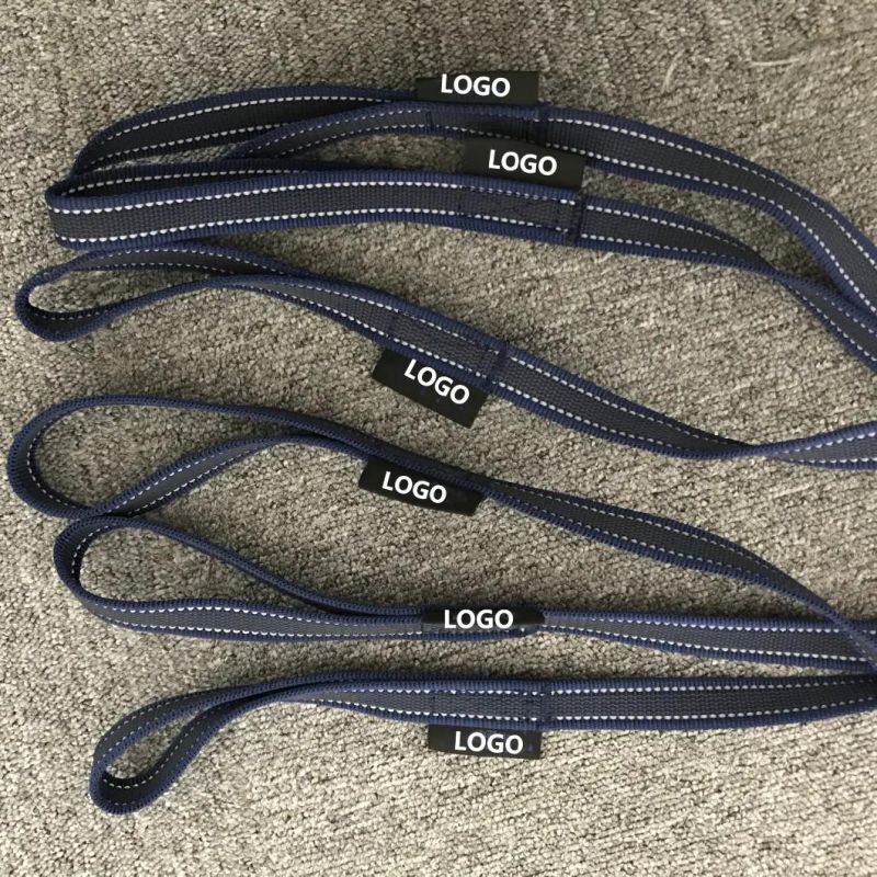 High-Quality High Visibility Reflective Dog Leashes Pet Rope with Soft Padded Handle for Training, Walking
