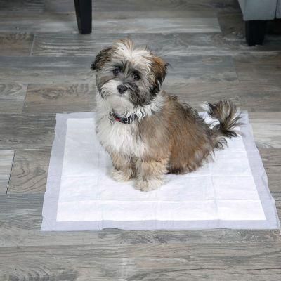 Pet Mat Cotton Training PEE Underpad Pet Diapers 20g Pad 50*40