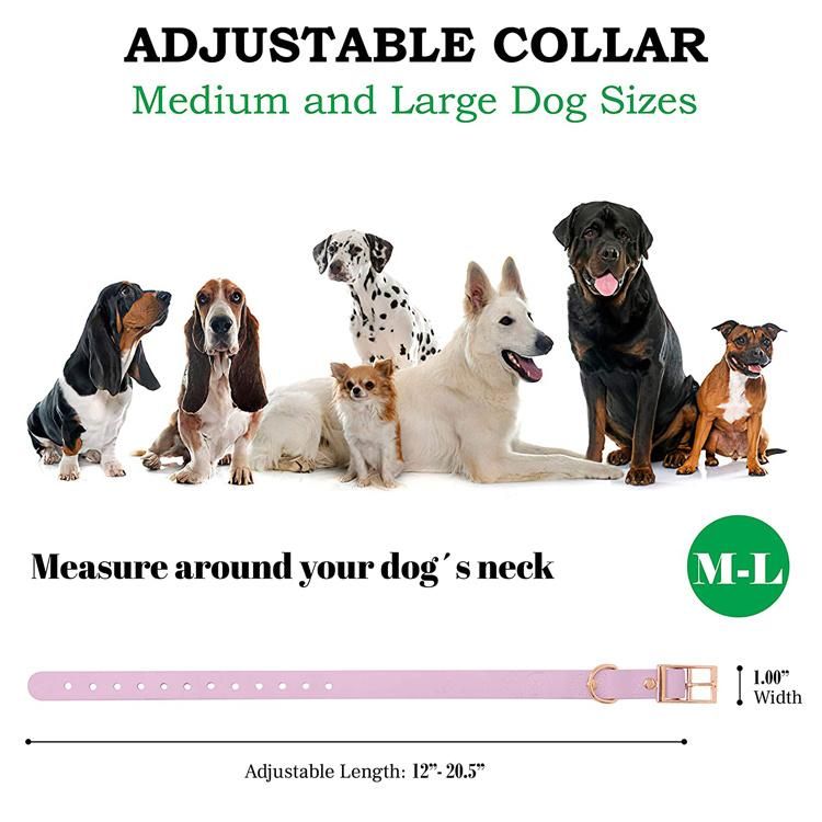 Soft PVC Coated Nylon Dog Collar Leash Set