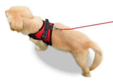 Lightweight, Eco-Friendly, Safe and Secure Walking Harness of Pet Products
