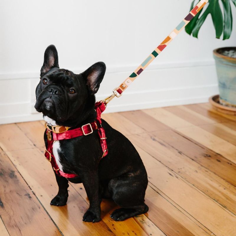 Velvet Non-Pull Dog Harness Wholesale Dog Harness