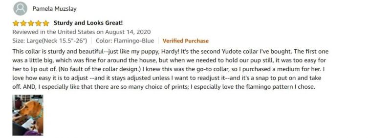 Designer Dog Collars Floral Scent Adjustable Dog Collars