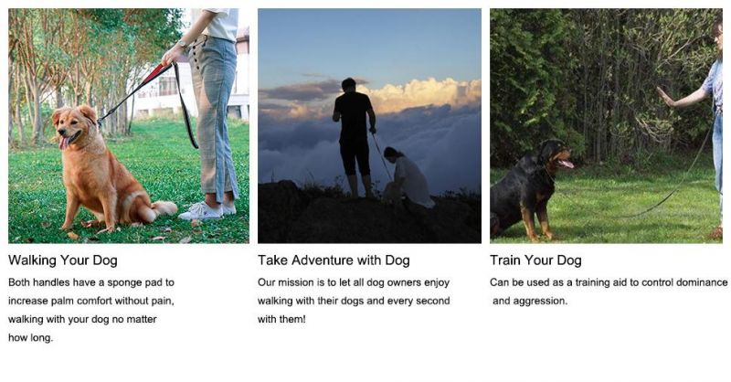 Dog Leash for Large Medium Small Pets