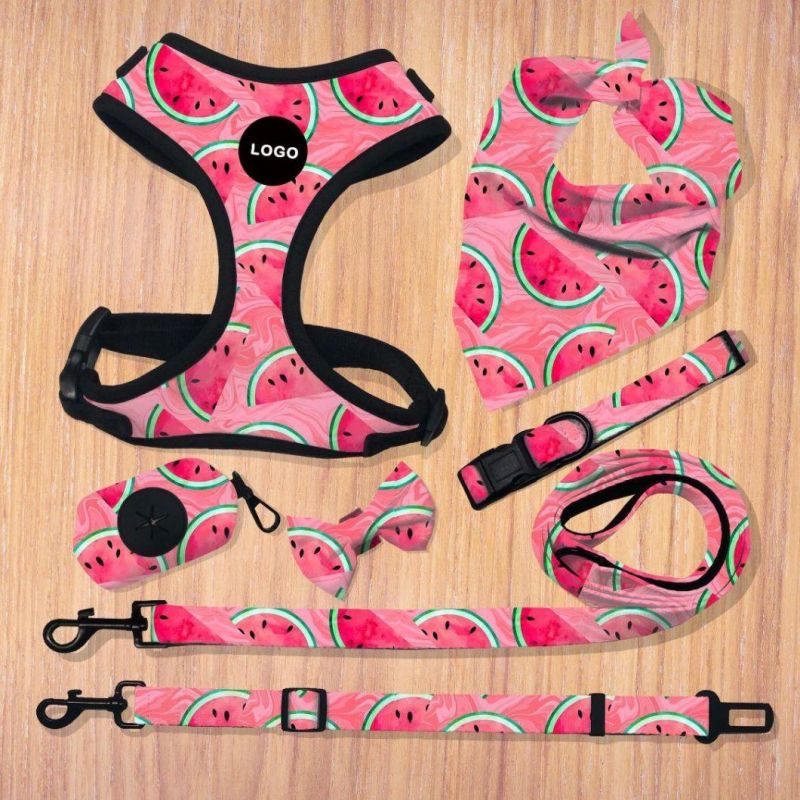 All Kinds of Design Full Sets Dog/Pets Harness /Dog Harness/Pet Accessories/Factory Price