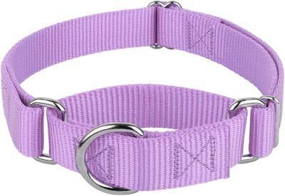 Escape-Proof Custom Dog Collars Adjustable Martingale Collar