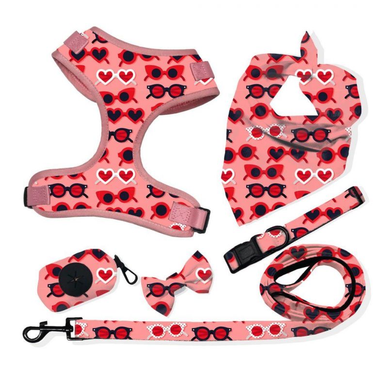 Pet Harness Set Custom Dog Leash Collar Adjustable Dog Harness