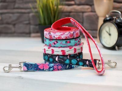 2022 New Collection Luxury Pet Accessories Dog Leash Nylon with Decorative Webbing Metal Accessories Dog Leash