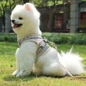 New Pet Product Puppy Dog Collar